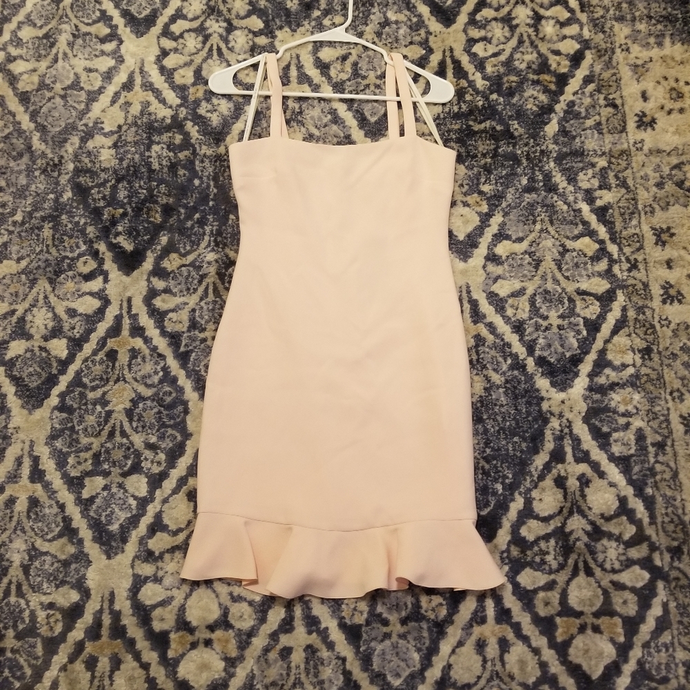 Rachel Zoe Las Angeles New York bodycon dress